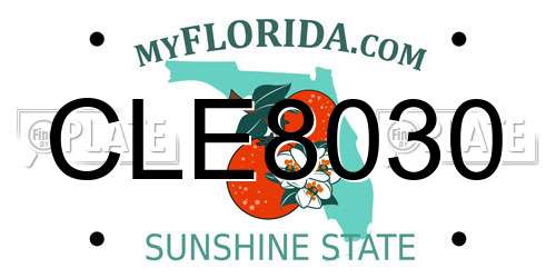 CLE8030 Florida License Plate