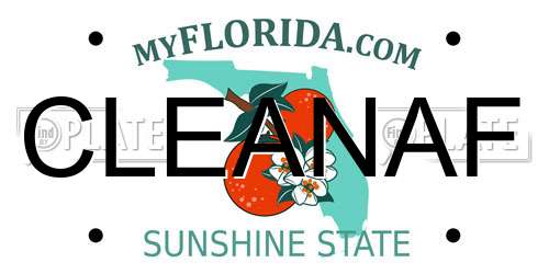 CLEANAF Florida License Plate
