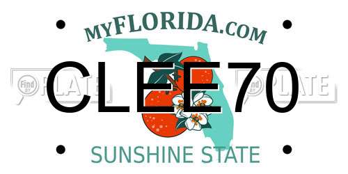 CLEE70 Florida License Plate