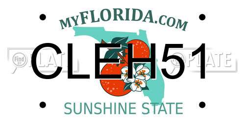 CLEH51 Florida License Plate