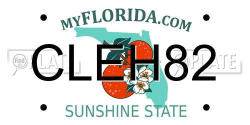 CLEH82 Florida License Plate