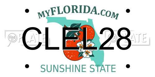 CLEL28 Florida License Plate