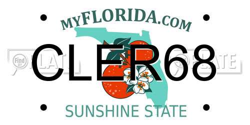 CLER68 Florida License Plate