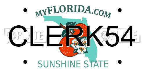 CLERK54 Florida License Plate