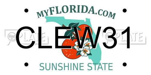 CLEW31 Florida License Plate
