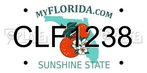 CLF1238 Florida License Plate