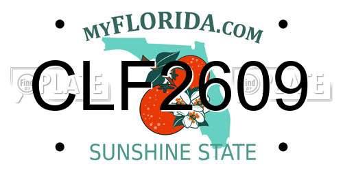 CLF2609 Florida License Plate
