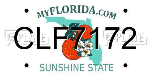 CLF7172 Florida License Plate