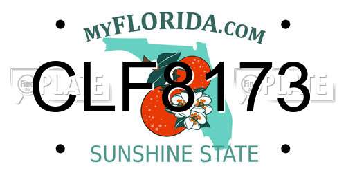 CLF8173 Florida License Plate