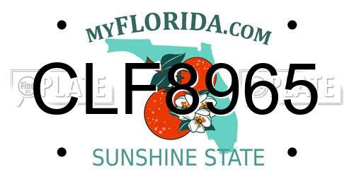 CLF8965 Florida License Plate