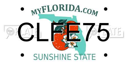 CLFE75 Florida License Plate