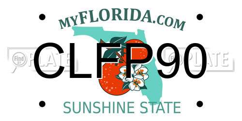 CLFP90 Florida License Plate
