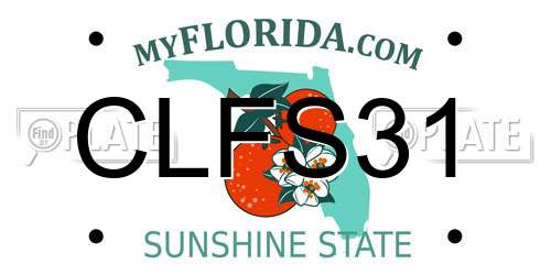 CLFS31 Florida License Plate