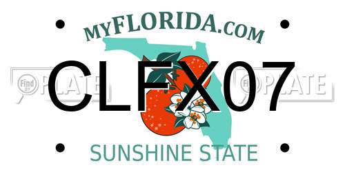 CLFX07 Florida License Plate