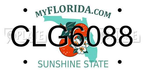 CLG6088 Florida License Plate