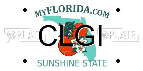 CLGI Florida License Plate