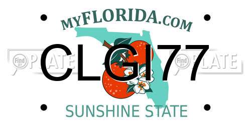 CLGI77 Florida License Plate