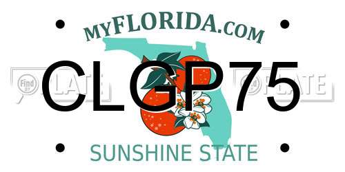 CLGP75 Florida License Plate