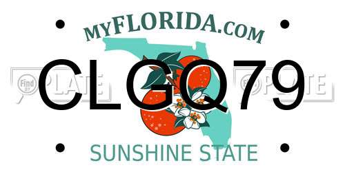 CLGQ79 Florida License Plate