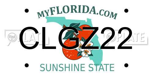 CLGZ22 Florida License Plate