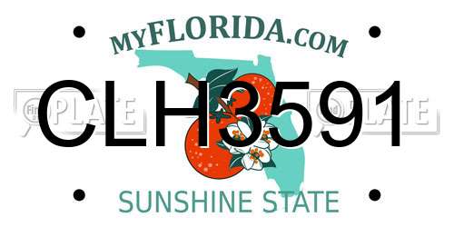 CLH3591 Florida License Plate