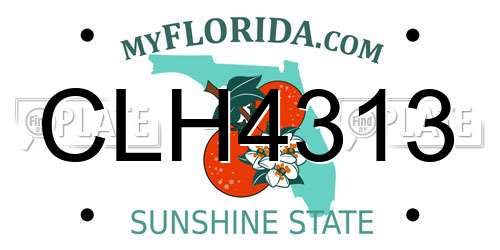 CLH4313 Florida License Plate
