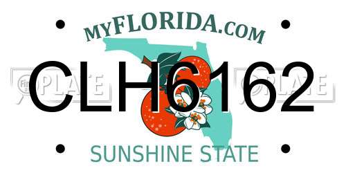 CLH6162 Florida License Plate