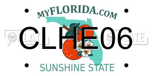 CLHE06 Florida License Plate