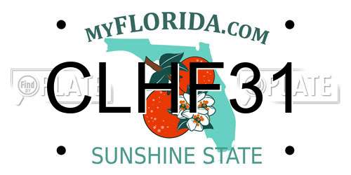 CLHF31 Florida License Plate