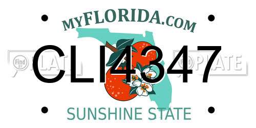CLI4347 Florida License Plate