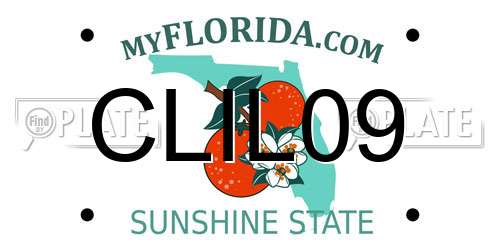 CLIL09 Florida License Plate