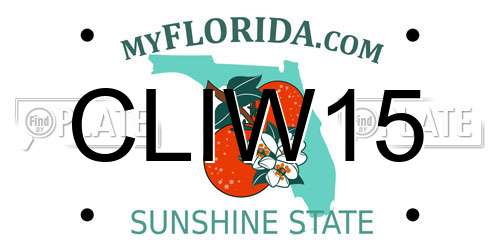 CLIW15 Florida License Plate