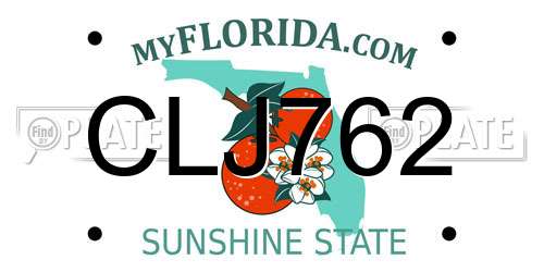 CLJ762 Florida License Plate