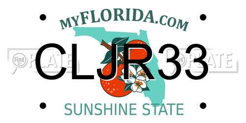 CLJR33 Florida License Plate