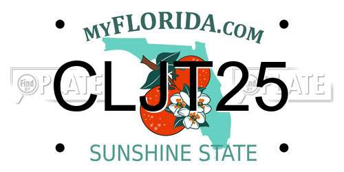 CLJT25 Florida License Plate