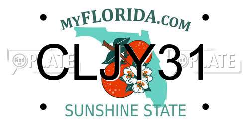 CLJY31 Florida License Plate