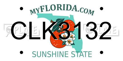 CLK3132 Florida License Plate