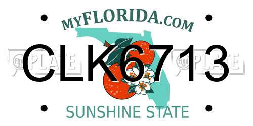 CLK6713 Florida License Plate