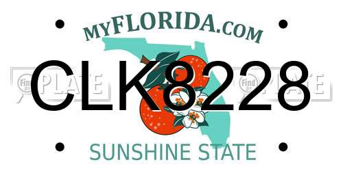 CLK8228 Florida License Plate