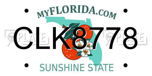 CLK8778 Florida License Plate