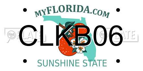 CLKB06 Florida License Plate