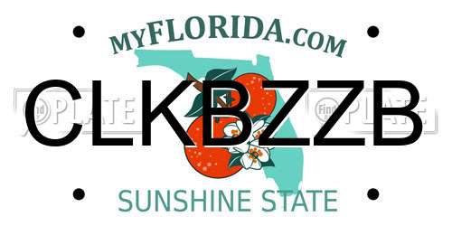 CLKBZZB Florida License Plate