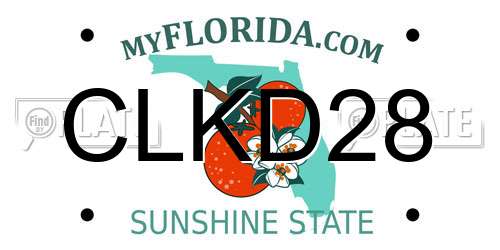 CLKD28 Florida License Plate
