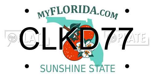 CLKD77 Florida License Plate