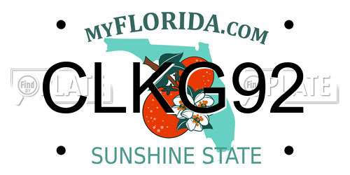 CLKG92 Florida License Plate