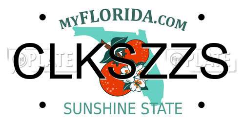 CLKSZZS Florida License Plate