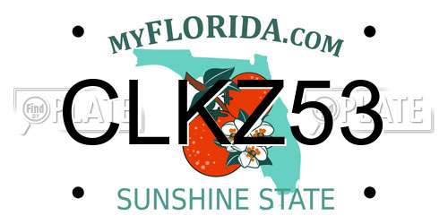 CLKZ53 Florida License Plate