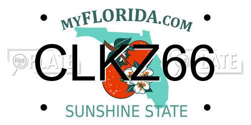 CLKZ66 Florida License Plate
