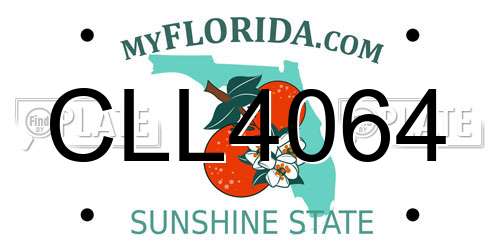 CLL4064 Florida License Plate