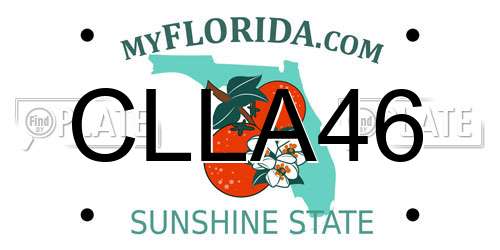 CLLA46 Florida License Plate